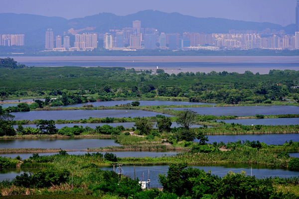 濕地保育公園系統研究報告公布