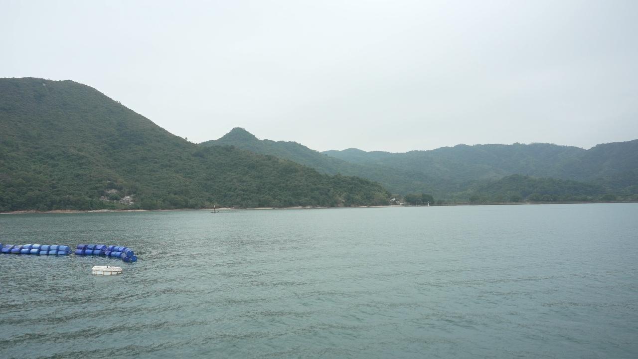 建设美丽海湾 打造优秀案例