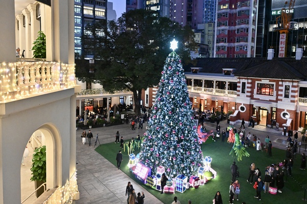 Towering tree