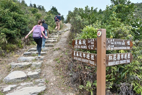 Hiking network