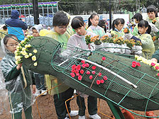 團隊精神: 學生同心協力鑲嵌大型花壇「原野萬花筒」。