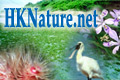 HKNature.net