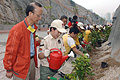 Community planting day ceremony 