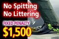 Fixed Penalty