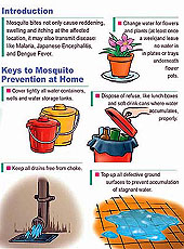 Anti-mosquito measures