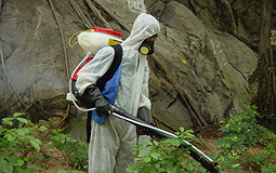 A worker sprays insecticide on slopes.