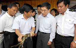 Health officials inspect Jiangsu crab farms