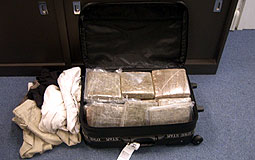 Herbal cannabis seized