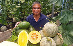 New organic fruits to be cultivated in HK