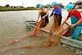 Mai Po pond fish farm