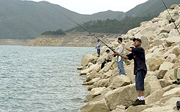 在水塘釣魚須領有釣魚牌照