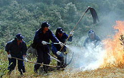 漁護署人員示範撲救山火