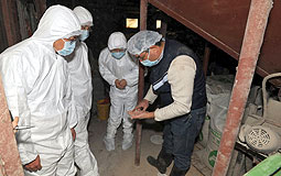 Investigation group on avian influenza inspects index 