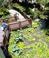 水生植物展覽