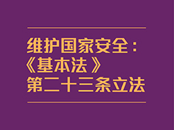 维护国家安全：《基本法》第二十三条立法