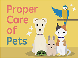 Proper care of pets