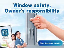 Window safety